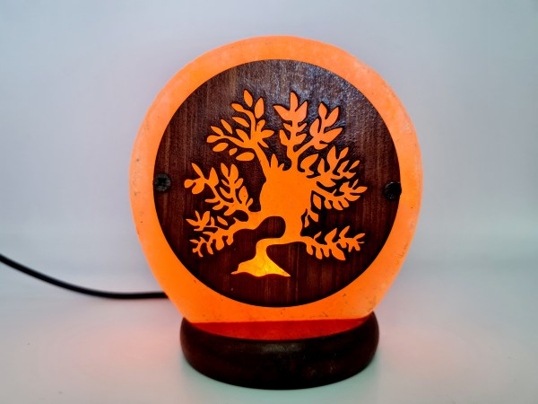 Lampe de sel  1 kg arbre de vie plein